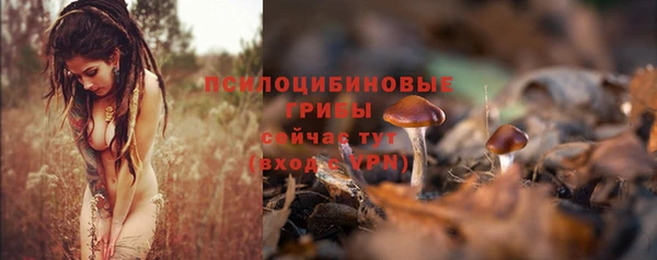 хмурый Белоозёрский