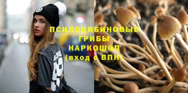 соль курить ск Белокуриха