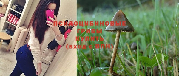 соль курить ск Белокуриха