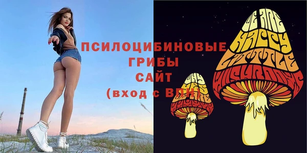 хмурый Белоозёрский