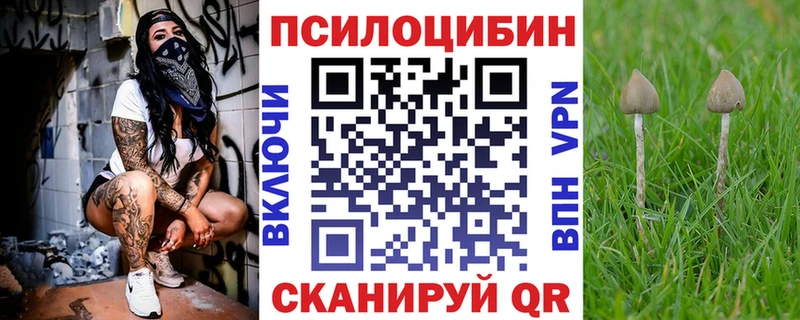 Галлюциногенные грибы Magic Shrooms  МЕГА вход  Плёс 